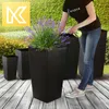 A person watering lavender plants in tall black planters on a wooden deck, with a green hedge in the background. Anteprima dell’immagine prodotto