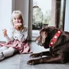 Hunter 069903, Pes, Standardní obojek, Červená, Bílá, Kůže, Náhled obrázku produktu 12