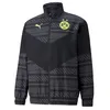 Dres treningowy Puma BVB, kolekcja dla fanów, model Podgląd zdjęcia produktu 6