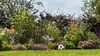 BOSCH Home & Garden 06008C4202 BOSCH Home & Garden Pompe Voir les images du produit 3