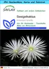 SAFLAX - Geschenk Set - Kakteen - Seeigelkaktus - 40 Samen Produktbild-Vorschau 1