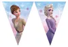 Bandiera FROZEN II 9Mix, Procos Anteprima dell’immagine prodotto 1