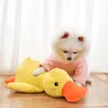 Beruhigendes Hundespielzeug mit Ente, Quack-Quack-Ente, Produktbild-Vorschau 5