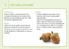 Sinneswahrnehmung fördern Produktbild-Vorschau 6