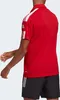 Koszulka adidas Polo SQUADRA 21 GP6429 M Anteprima dell’immagine prodotto 8