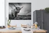 MuchoWow® Poster Kühe - Schottische Hochlandkühe - Natur - Produktbild-Vorschau 3