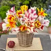 Bloomique - Mélange de 20 - Tulipa Rembrandt Mix - Bulbes Voir les images du produit 4