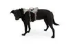 Ruffwear Double Back Harness Cloudburst Gray, taglia:M Anteprima dell’immagine prodotto 5