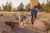 Ruffwear Trail Runner Belt Blue Pool L-XL Produktbild-Vorschau 19