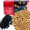 A product shot of LED decorative lights and their packaging. Podgląd zdjęcia produktu