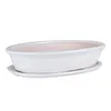 A white ceramic oval bonsai pot with a matching saucer, isolated on a white background. Produktbild-Vorschau