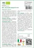 SAFLAX  -- Ravanello Spagnolo nero  - 100 semi - Raphanus Anteprima dell’immagine prodotto 3