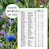 Biobalu Bienenweide - Blumenwiese Samen mehrjährig & Produktbild-Vorschau 5