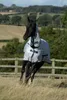 Bucas Freedom Fly Sheet Full Nack, Silver 145 cm Produktbild-Vorschau 5