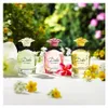 Dolce&Gabbana Dolce Garden, Kobiety, 75 ml, Butelka Podgląd zdjęcia produktu 3