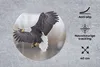 MuchoWow® Mauspad Mousepad Ein amerikanischer Produktbild-Vorschau 2