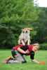 Disque pour chien, plastique ø 19 cm divers Voir les images du produit 7