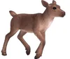 Mojo 387188 Animal Planet Reindeer Calf approx. 9 x 2 x 6 Voir les images du produit 7