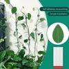 Supports autocollants pour plantes grimpantes, 20 pièces Voir les images du produit 4