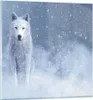 Bilder auf glas - Einteilig - Weiß Wolf Schnee - 70x70cm - Produktbild-Vorschau 1