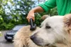 A person is using a grooming tool on a dog outdoors, with a car in the background. Produktbild-Vorschau