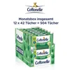 Cottonelle Feuchtes Toilettenpapier Wohltuende Sauberkeit Produktbild-Vorschau 7