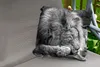 MuchoWow® Outdoor Kissen - Löwe - Afrika - Schwarz - 60x60 Produktbild-Vorschau 2
