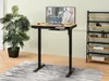 A standing desk in a home office setting with a plant and bookshelf. Podgląd zdjęcia produktu