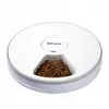A white automatic pet feeder with a gray rim, filled with brown kibble in one of its compartments. Anteprima dell’immagine prodotto