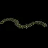 A garland with lights on a black background. Produktbild-Vorschau