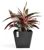 Pot de fleurs Ecopots Rotterdam 30 - L 29,5 cm x l 29,5 cm Voir les images du produit 2