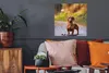 MuchoWow® Poster Schöner Dackel im Wald 50x50 cm - Produktbild-Vorschau 2