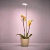 A potted orchid plant with yellow flowers is illuminated by a circular LED grow light. Produktbild-Vorschau