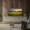 Thomson 50QG5C14, 127 cm (50"), 3840 x 2160 Pixel, QLED, Produktbild-Vorschau 5