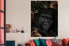 MuchoWow® Poster Gorilla - Pflanzen - Gold 120x180 cm - Produktbild-Vorschau 3
