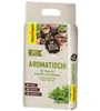 Floragard -Erde AROMATISCH für Kräuter, Anzucht und Aussaat Produktbild-Vorschau 2