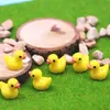 Mini Ente, 100 kleine Gummienten, hoch dekorativ, Produktbild-Vorschau 5