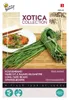 Buzzy Xotica Spargelbohne Metro Nero Samen - Ca. 10 gr | Produktbild-Vorschau 4