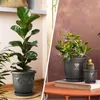 Plastard Blumentopf 3er Set Ø30 cm mit Untersetzer Produktbild-Vorschau 6