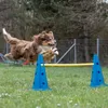 Sada překážek Relaxdays, 18dílná, agility pro psy a Náhled obrázku produktu 3