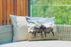 MuchoWow® Outdoor Kissen - Zebras - Gras - Schwarz - Weiß - Produktbild-Vorschau 3
