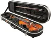 Gator GC-Violin 4/4 Náhľad obrázku produktu 1
