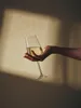 ZWIESEL GLAS Schott Zwiesel Passionata - Weißwein - 450ml - Produktbild-Vorschau 4