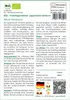 SAFLAX - BIO - Frühlingszwiebel - Japanische Ishikura - 150 Produktbild-Vorschau 3
