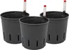 Kulturtopf 13/12 mit WA II/12er 3er-Pack Produktbild-Vorschau 4