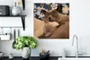 MuchoWow® Poster Zwei verschmuste burmesische Katzen 50x50 Produktbild-Vorschau 3