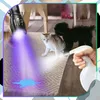 A flashlight is being used to illuminate a stain on a rug, with a cat and dog nearby. Produktbild-Vorschau