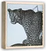 ZEP WILD LIFE Fotoalbum, 200 Fotos, 13 x 19 cm, Produktbild-Vorschau 3