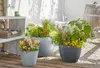 Scheurich Firenze 60, Pflanzgefäß/Blumentopf/Pflanzkübel, Produktbild-Vorschau 6
