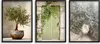 Drei Poster für die Wand Boho Dekorationen Bilder für das Produktbild-Vorschau 1